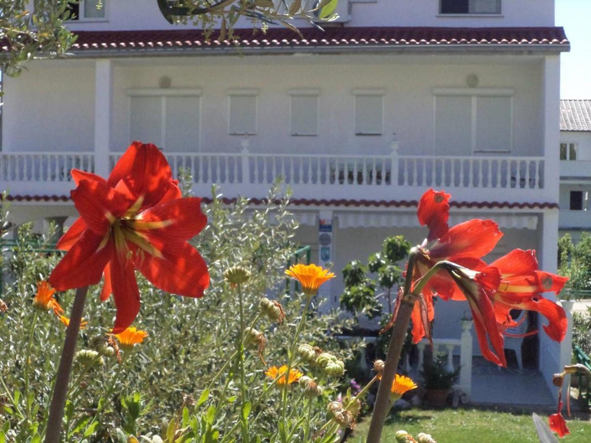 Seaside Oasis: Family-Friendly Apartments with Pool and Amenities Palit Exterior photo